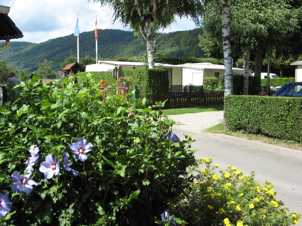 Hotel Camping Au Pays De Hanau Dossenheim-sur-Zinsel Exterior foto